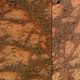 Illustration for article titled Scientists now know why this mysterious rock suddenly appeared on Mars